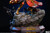 【PRE-ORDER】Alue Studio World of Warcraft 1:6 Judgement Armor Set