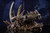 【PRE-ORDER】BlackFatalis Studio MonsterHunter Tigrex﻿ with LED