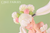 【PRE-ORDER】WeArtDoing Studio Cake Fairies