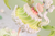【PRE-ORDER】WeArtDoing Studio Cake Fairies
