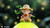 【PRE-ORDER】Happy Life Studio NeNe Usopp Touch-Activated Night Light