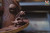 【PRE-ORDER】ZOR Studio The Birth of Arale 1:1 Bust