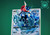 【PRE-ORDER】GEISHA Studio Card Froakie & Frogadier & Greninja ex