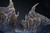 【PRE-ORDER】S6 Studio Monster Hunter Steel Dragon