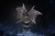 【PRE-ORDER】S6 Studio Monster Hunter Steel Dragon