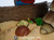 【PRE-ORDER】Kintsukuroi Creations Studio ANNIVERSARY - LINK AND MARIN 1/4 DIORAMA