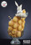 【PRE-ORDER】KingFinger Studio Eevee egg pancake cup