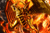【PRE-ORDER】CX Studio The Winged Dragon of Ra & Marik Ishtar with LED