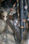 【PRE-ORDER】Deep Tale Studio Predator Series Masterpiece Greyback Predator with LED