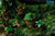 【PRE-ORDER】OPM Studio Totoro in the tree hole with LED