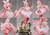 【PRE-ORDER】Hobby Sakura Studio 1:7 White Rabbit Rosu