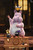 【PRE-ORDER】WuYu Studio Dancing Boh with LED