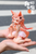 【PRE-ORDER】WeArtDoing Studio Sweet Catfish