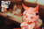 【PRE-ORDER】WeArtDoing Studio Sweet Catfish