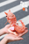 【PRE-ORDER】WeArtDoing Studio Sweet Catfish