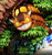 【PRE-ORDER】EMO Studio My Neighbor Totoro with LED