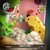 【IN-STOCK】Dream Studio Yoshi's Island