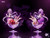 【PRE-ORDER】BaJi Studio 1:6 Wine Cup Girl Castorice