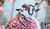 【PRE-ORDER】Weare A Design Studio 1:5 Ciel Phantomhive