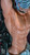 【PRE-ORDER】NPC Studio 1:4 Innocent Sylus