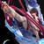 【PRE-ORDER】Halo Studio 1:6/1:4 Columbina Hyposelenia