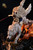 【PRE-ORDER】ShenYin Studio Princess Mononoke with LED