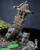 【PRE-ORDER】HAOZI Studio Pandaren Chen & LiLi