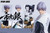 【PRE-ORDER】POP.ART Studio 1:6 Ichimaru Gin