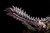 【PRE-ORDER】SWORD&WING Studio Zinogre & Stygian Zinogre with LED
