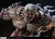 【PRE-ORDER】Hertz Studio The Armored Titan & Reiner
