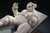 【PRE-ORDER】Hyperspace Studio 1:6 Leib