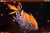 【PRE-ORDER】Rhinoceros Studio 1:6 Double X Burner Sawada Tsunayoshi with LED