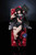 【PRE-ORDER】Alice21 Studio 1:6 Chisa