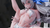【PRE-ORDER】Hyperion Studio 1:6 Wedding dress Bronya Zaychik
