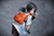 【PRE-ORDER】XD Studio 1:6 Videl