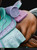 【PRE-ORDER】CHIKARA Studio Gyro Zeppeli