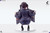 【PRE-ORDER】Crystal Lotus Studio 1:4 Nikke Sola
