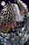 【PRE-ORDER】Scalefall＆Wingrise Studio 1:4 Ruiner Nergigante Girl