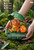 【PRE-ORDER】LongMiao Studio Charmander & Calcifer with LED
