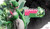 【PRE-ORDER】Miroro Studio 1:6 Meowscarada & Gardevoir
