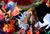 【PRE-ORDER】Phantom Beast Studio Ho-Oh & Legendary beasts with LED