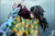 【PRE-ORDER】FXW Studio 1:6 Tomioka Giyuu with LED