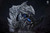 【PRE-ORDER】Edge Studio Arkveld Bust