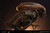 【PRE-ORDER】Deepmyth Studio 1:1 Alien Dog Bust with LED