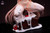【PRE-ORDER】AstralSpirit Studio 1:4 HMS Formidable
