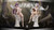 【PRE-ORDER】Eve Studio 1:6 Angel Fern