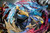 【IN-STOCK】Fantasy studio Cynthia & Garchomp Black version