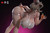 【PRE-ORDER】LWNM Studio 1:6 Bunny Usami