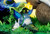 【PRE-ORDER】Raven Studio 1:6 Totoro Under the Starry Sky