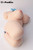 【PRE-ORDER】PUUKUU Studio Asuna Torso Masturbator